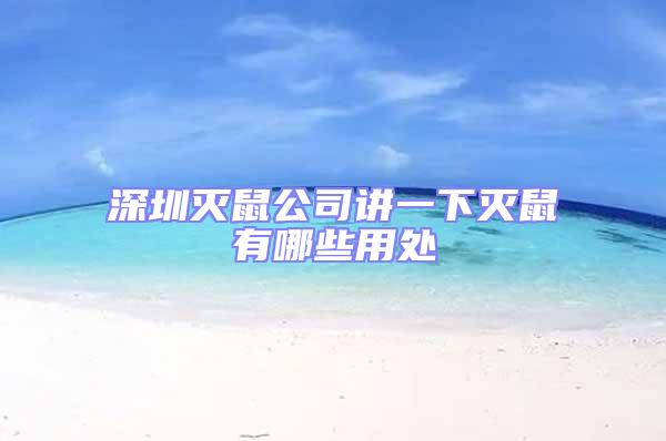 深圳滅鼠公司講一下滅鼠有哪些用處