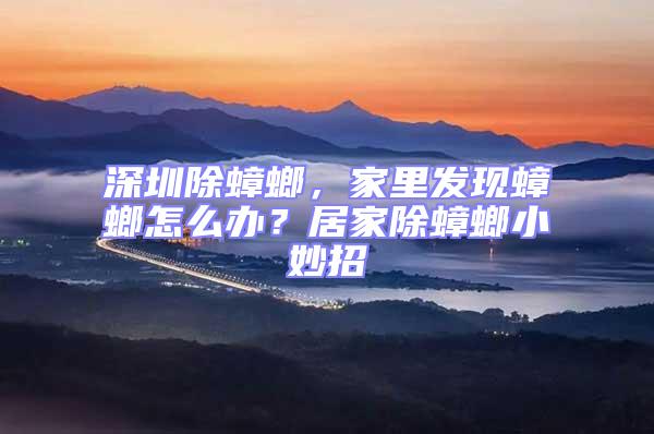 深圳除蟑螂，家里發現蟑螂怎么辦？居家除蟑螂小妙招