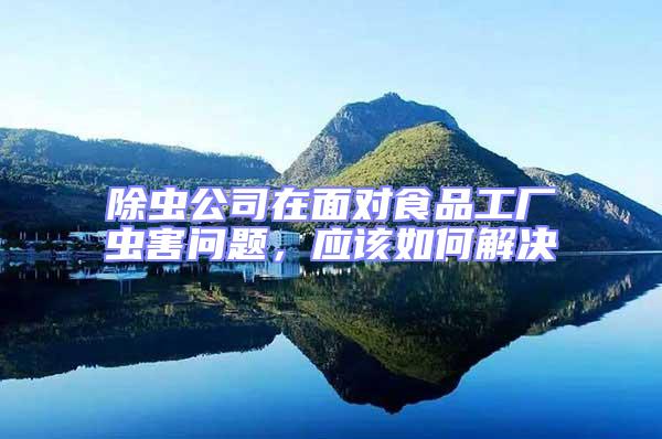 除蟲公司在面對食品工廠蟲害問題，應該如何解決