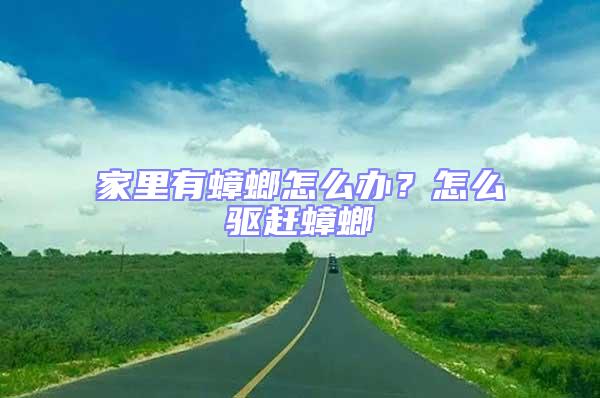 家里有蟑螂怎么辦？怎么驅(qū)趕蟑螂