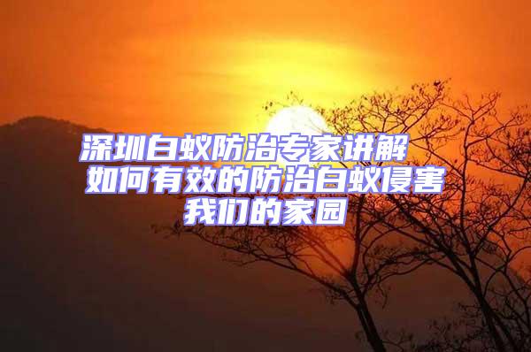 深圳白蟻防治專家講解 如何有效的防治白蟻侵害我們的家園