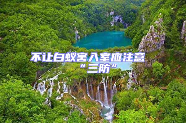 不讓白蟻害入室應注意“三防”