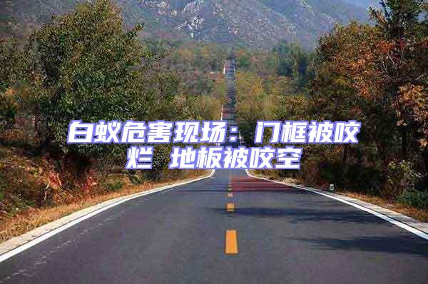 白蟻危害現場:門框被咬爛 地板被咬空