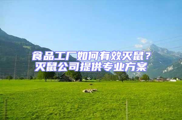 食品工廠如何有效滅鼠？滅鼠公司提供專(zhuān)業(yè)方案