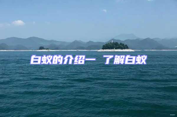 白蟻的介紹一 了解白蟻