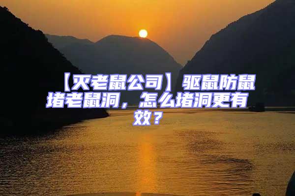 【滅老鼠公司】驅鼠防鼠堵老鼠洞,怎么堵洞更有效?