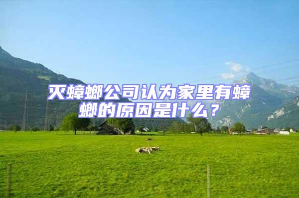 滅蟑螂公司認為家里有蟑螂的原因是什么？