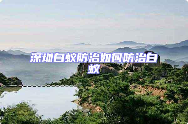 深圳白蟻防治如何防治白蟻