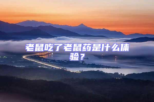 老鼠吃了老鼠藥是什么體驗(yàn)？