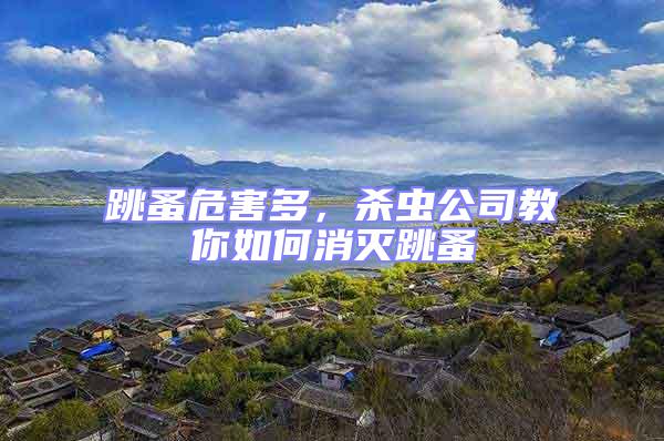 跳蚤危害多,殺蟲公司教你如何消滅跳蚤