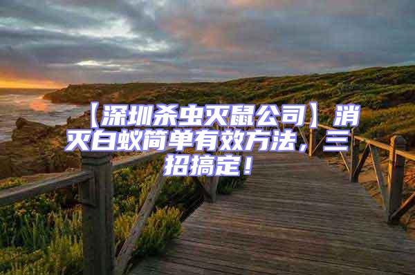 【深圳殺蟲滅鼠公司】消滅白蟻簡單有效方法,三招搞定!