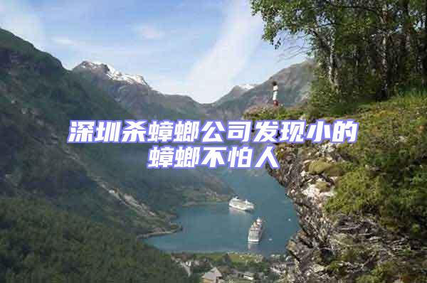 深圳殺蟑螂公司發(fā)現(xiàn)小的蟑螂不怕人