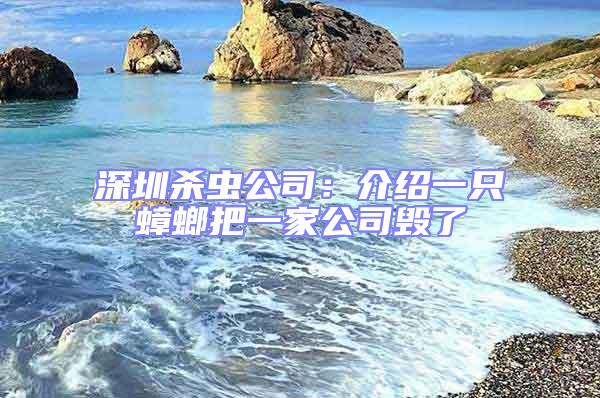 深圳殺蟲公司:介紹一只蟑螂把一家公司毀了