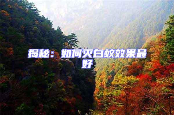 揭秘：如何滅白蟻效果最好