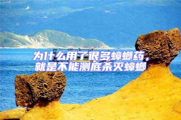 為什么用了很多蟑螂藥,就是不能測(cè)底殺滅蟑螂