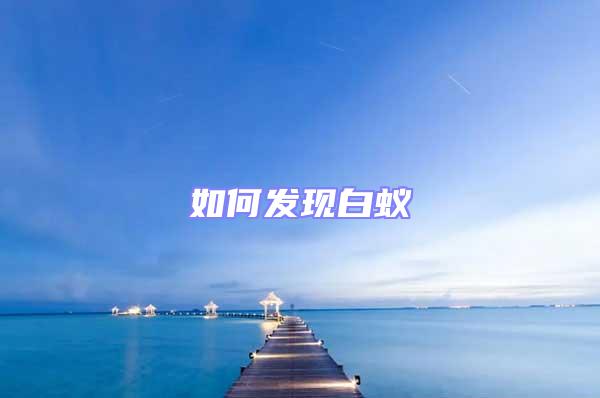 如何發現白蟻