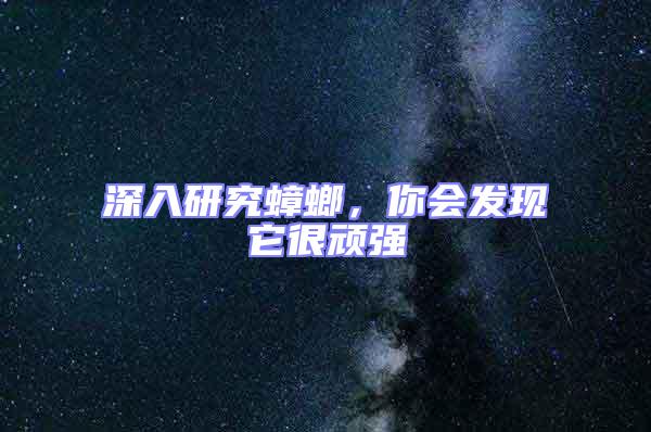 深入研究蟑螂，你會發現它很頑強