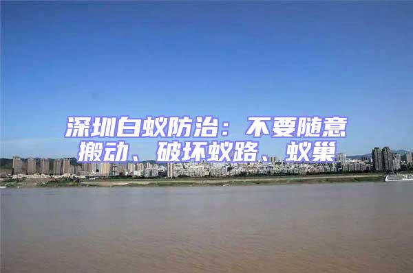 深圳白蟻防治：不要隨意搬動(dòng)、破壞蟻路、蟻巢