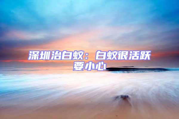 深圳治白蟻:白蟻很活躍要小心