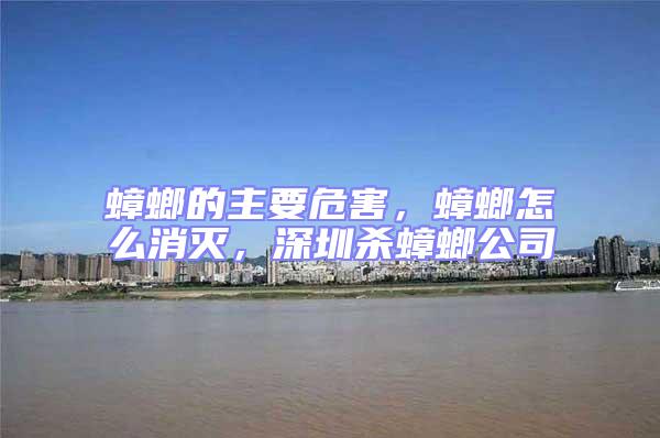 蟑螂的主要危害，蟑螂怎么消滅，深圳殺蟑螂公司