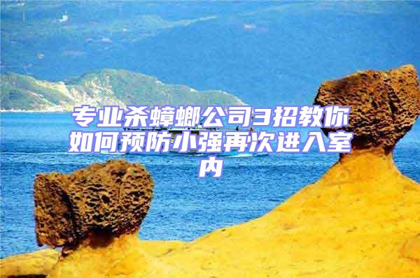 專業(yè)殺蟑螂公司3招教你如何預(yù)防小強再次進入室內(nèi)