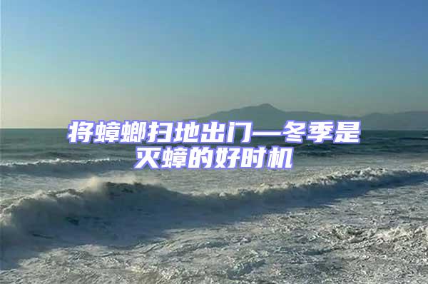 將蟑螂掃地出門—冬季是滅蟑的好時機