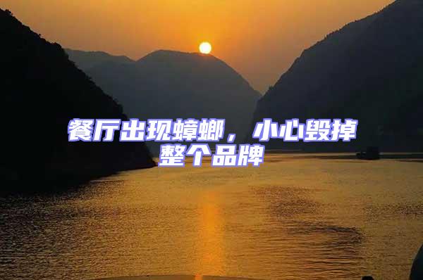 餐廳出現蟑螂，小心毀掉整個品牌