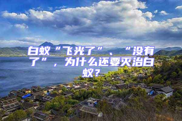 白蟻“飛光了”、“沒有了”，為什么還要滅治白蟻？