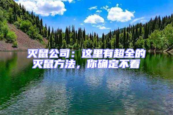 滅鼠公司:這里有超全的滅鼠方法,你確定不看