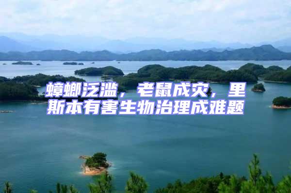 蟑螂泛濫，老鼠成災，里斯本有害生物治理成難題