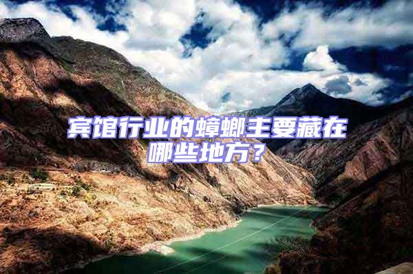 賓館行業(yè)的蟑螂主要藏在哪些地方?