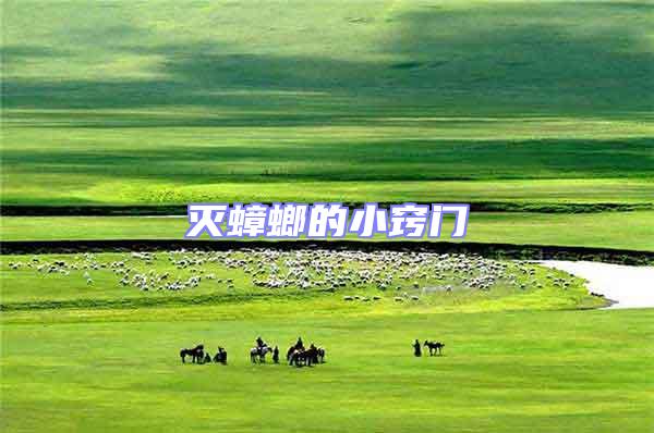 滅蟑螂的小竅門(mén)