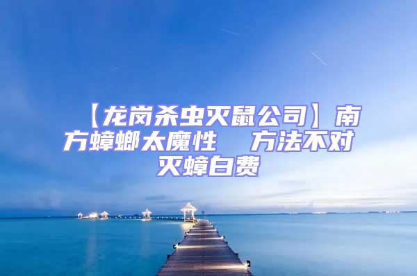 【龍崗殺蟲滅鼠公司】南方蟑螂太魔性 方法不對滅蟑白費