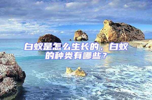 白蟻是怎么生長(zhǎng)的，白蟻的種類有哪些？