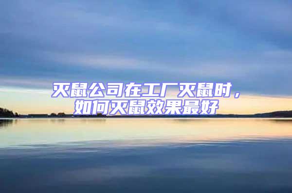 滅鼠公司在工廠滅鼠時,如何滅鼠效果最好