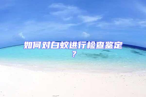 如何對白蟻進行檢查鑒定?