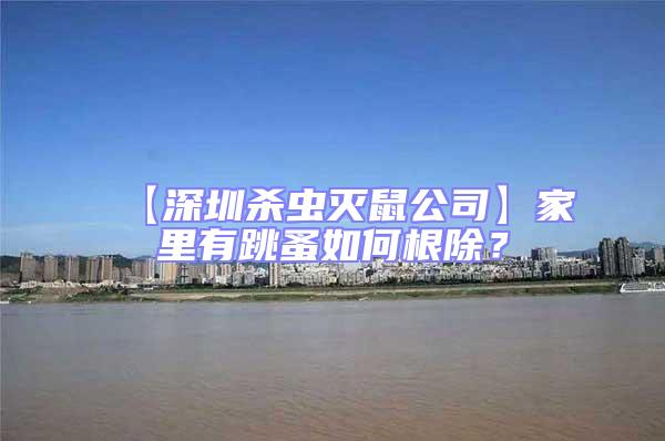 【深圳殺蟲滅鼠公司】家里有跳蚤如何根除？