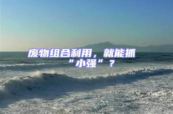 廢物組合利用，就能抓“小強”？