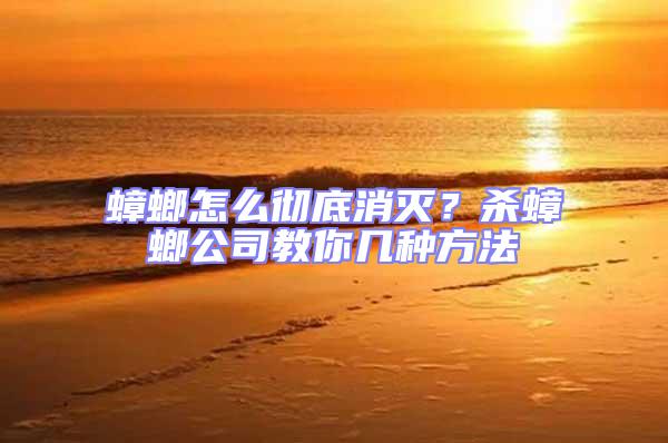 蟑螂怎么徹底消滅？殺蟑螂公司教你幾種方法