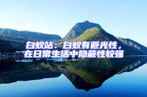 白蟻站：白蟻有避光性，在日常生活中隱蔽性較強