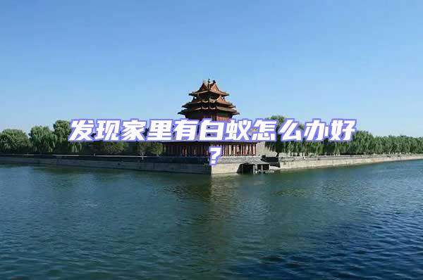 發(fā)現(xiàn)家里有白蟻怎么辦好?