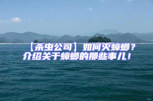 【殺蟲(chóng)公司】如何滅蟑螂?介紹關(guān)于蟑螂的那些事兒!