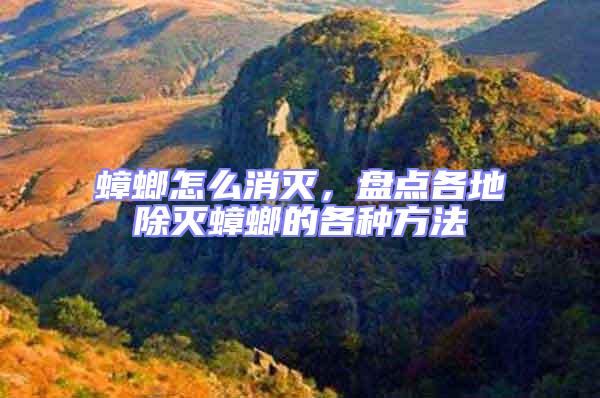 蟑螂怎么消滅,盤點各地除滅蟑螂的各種方法