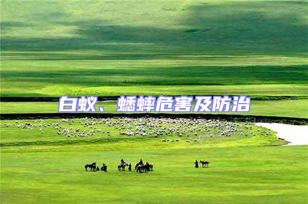 白蟻、蟋蟀危害及防治