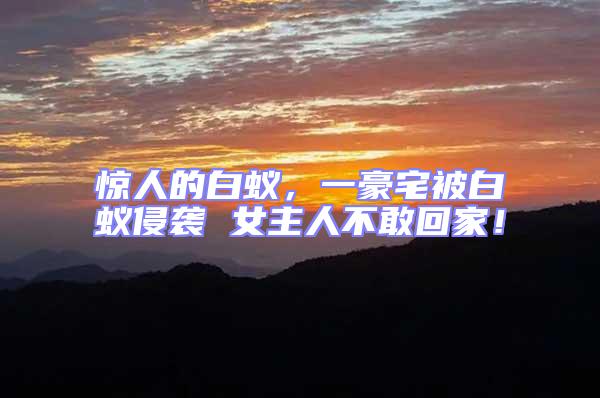 驚人的白蟻，一豪宅被白蟻侵襲 女主人不敢回家！