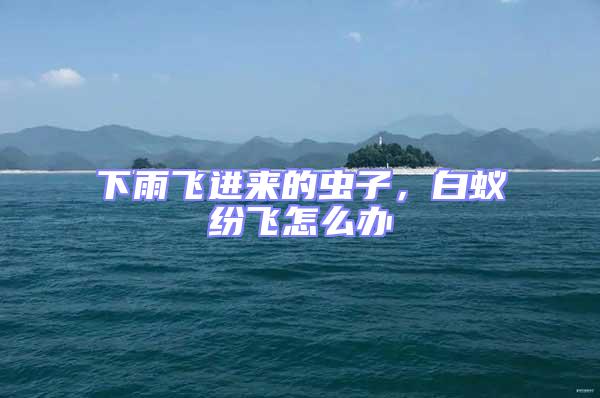 下雨飛進來的蟲子,白蟻紛飛怎么辦