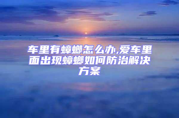 車里有蟑螂怎么辦,愛車里面出現蟑螂如何防治解決方案