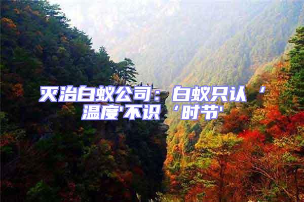 滅治白蟻公司：白蟻只認(rèn)‘溫度'不識(shí)‘時(shí)節(jié)'