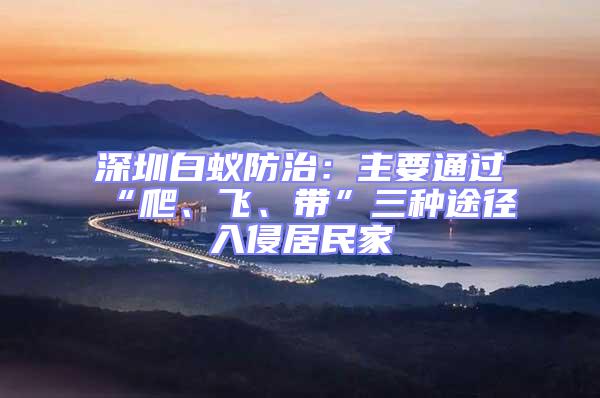深圳白蟻防治:主要通過“爬、飛、帶”三種途徑入侵居民家
