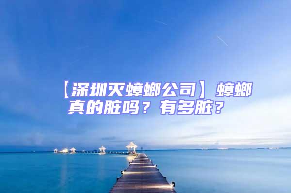 【深圳滅蟑螂公司】蟑螂真的臟嗎？有多臟？